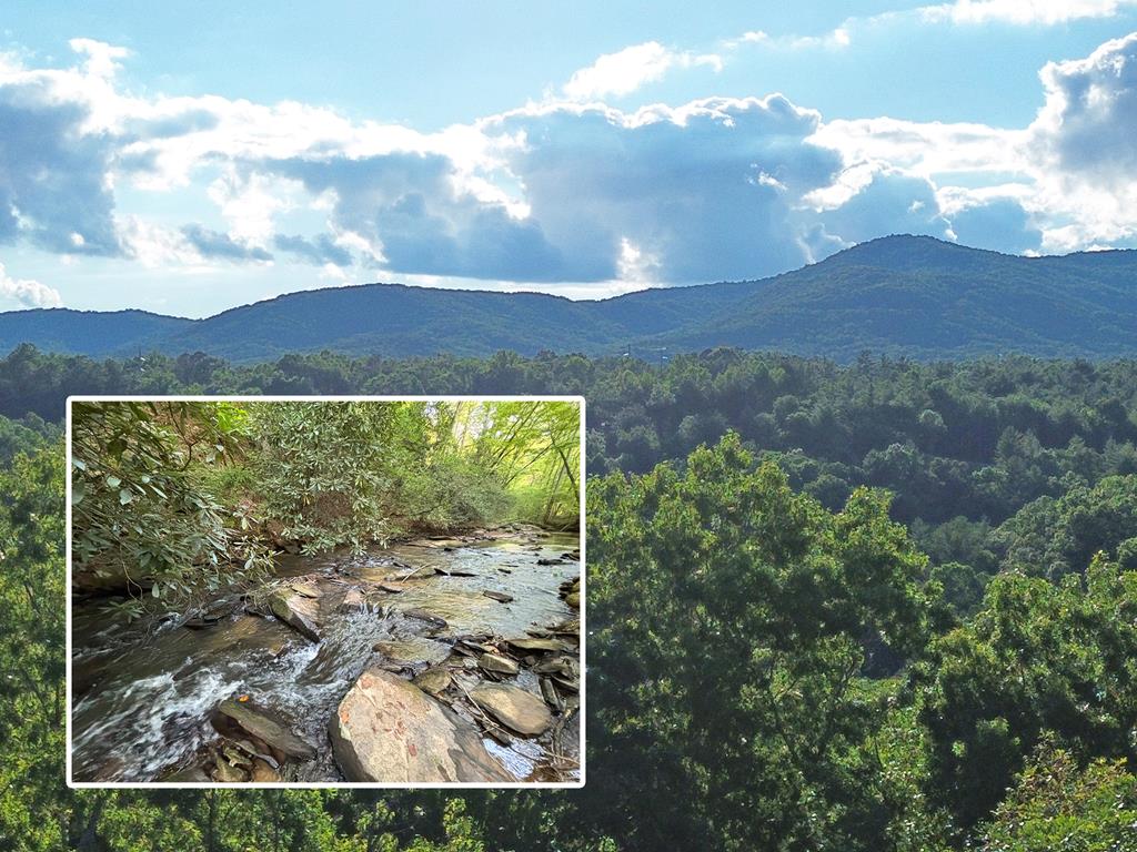 Lot 19 Mt. Springer Road Property Photo 1