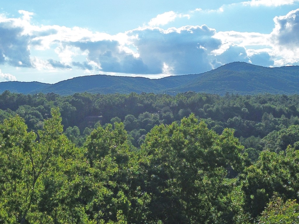 Lot 19 Mt. Springer Road Property Photo 2