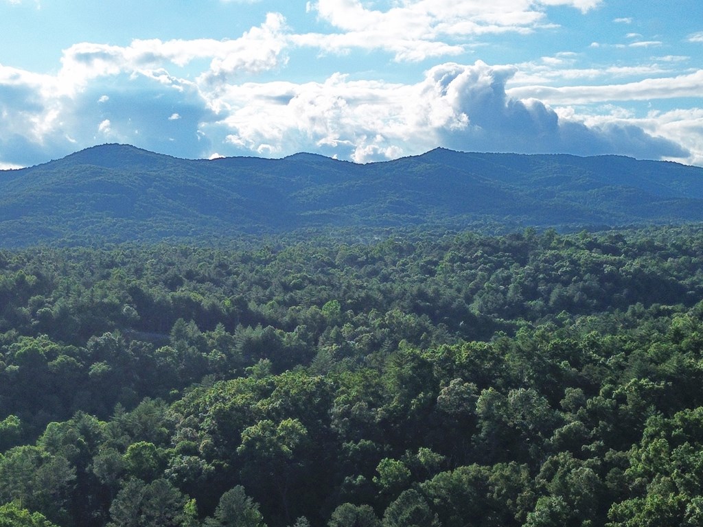 Lot 19 Mt. Springer Road Property Photo 8