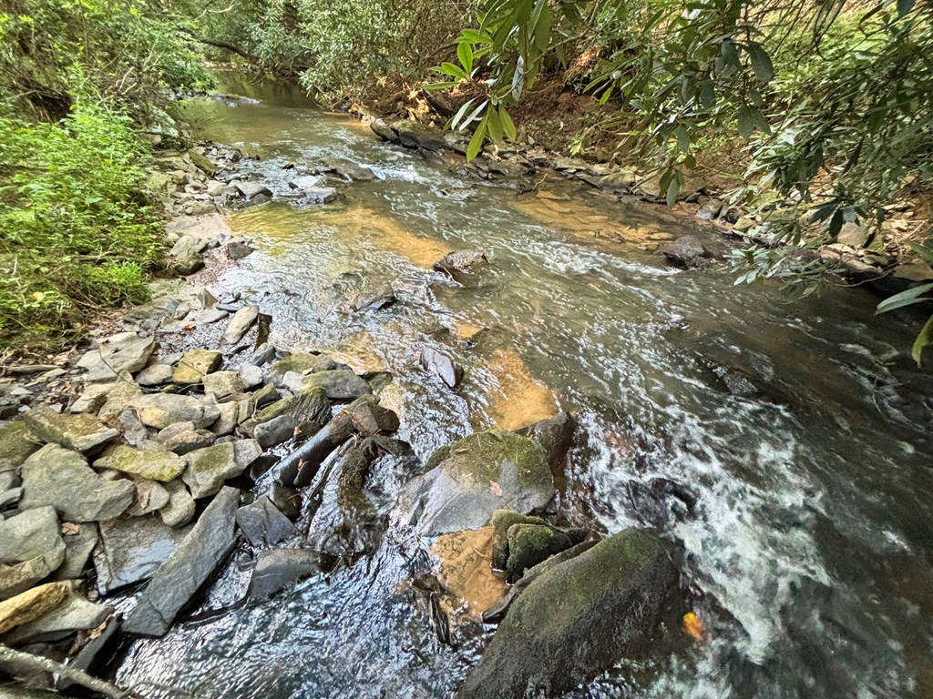 Lot 19 Mt. Springer Road Property Photo 9