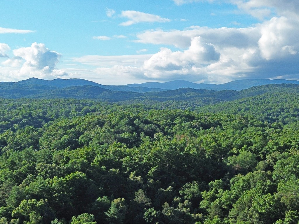 Lot 19 Mt. Springer Road Property Photo 13
