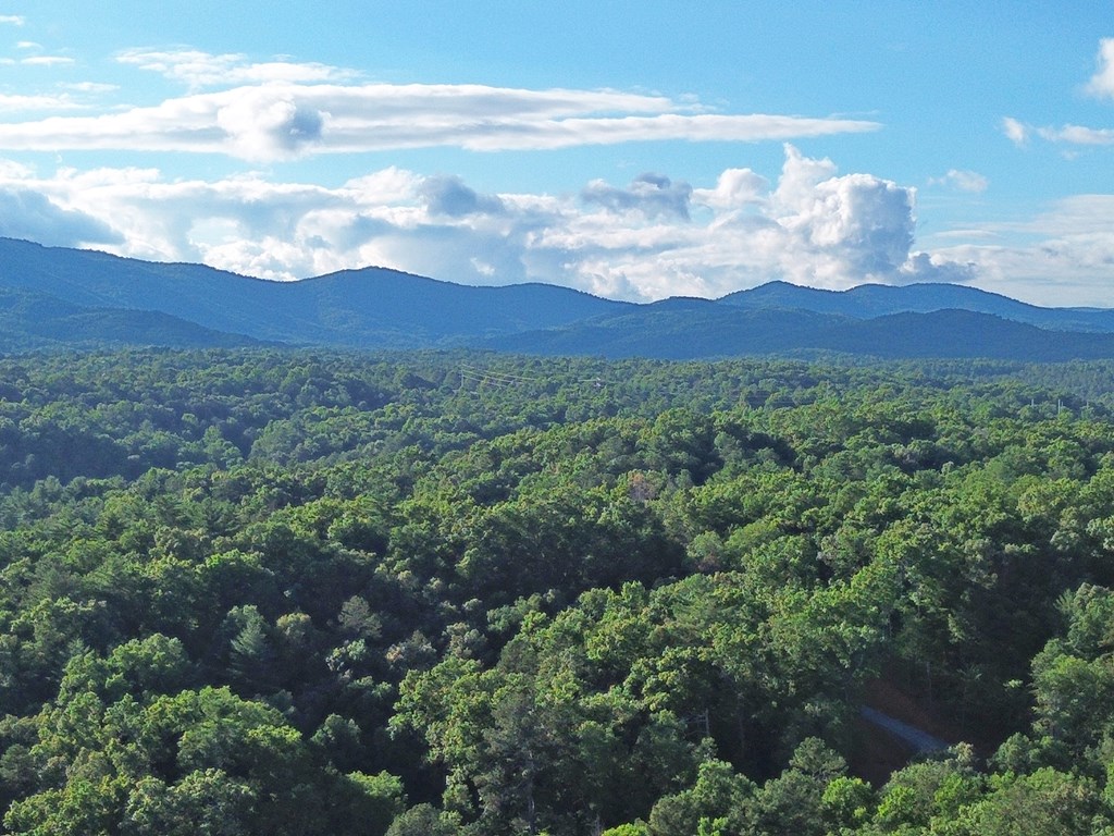 Lot 19 Mt. Springer Road Property Photo 17