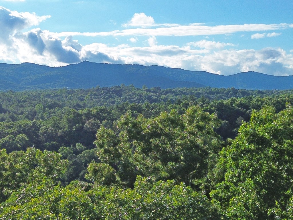 Lot 19 Mt. Springer Road Property Photo 21
