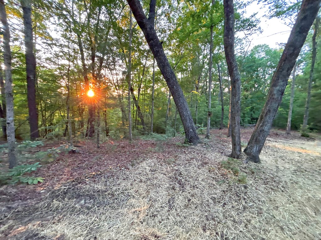 Lot 19 Mt. Springer Road Property Photo 28