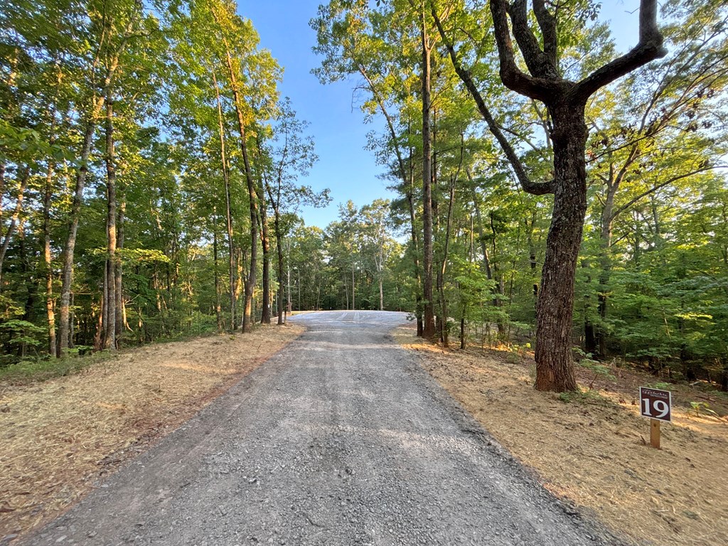 Lot 19 Mt. Springer Road Property Photo 30