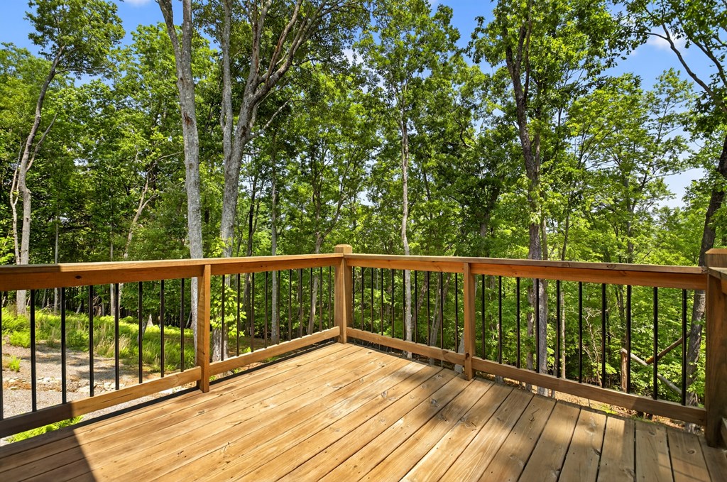 558 Tipton Springs Road Property Photo 52