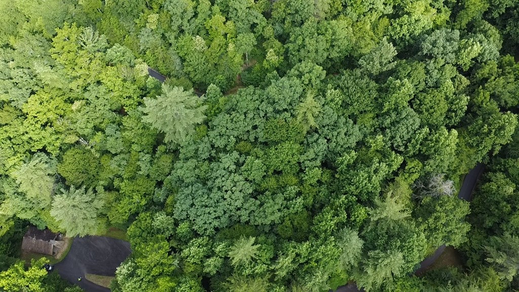 Lot 30a Trillium Heights Property Photo 8