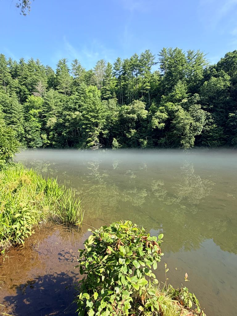 Lot 30a Trillium Heights Property Photo 17