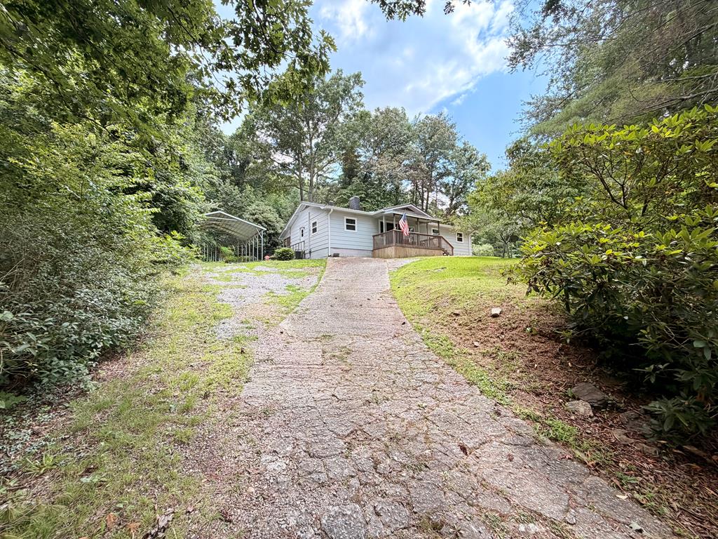 203 Jones Street Property Photo 19