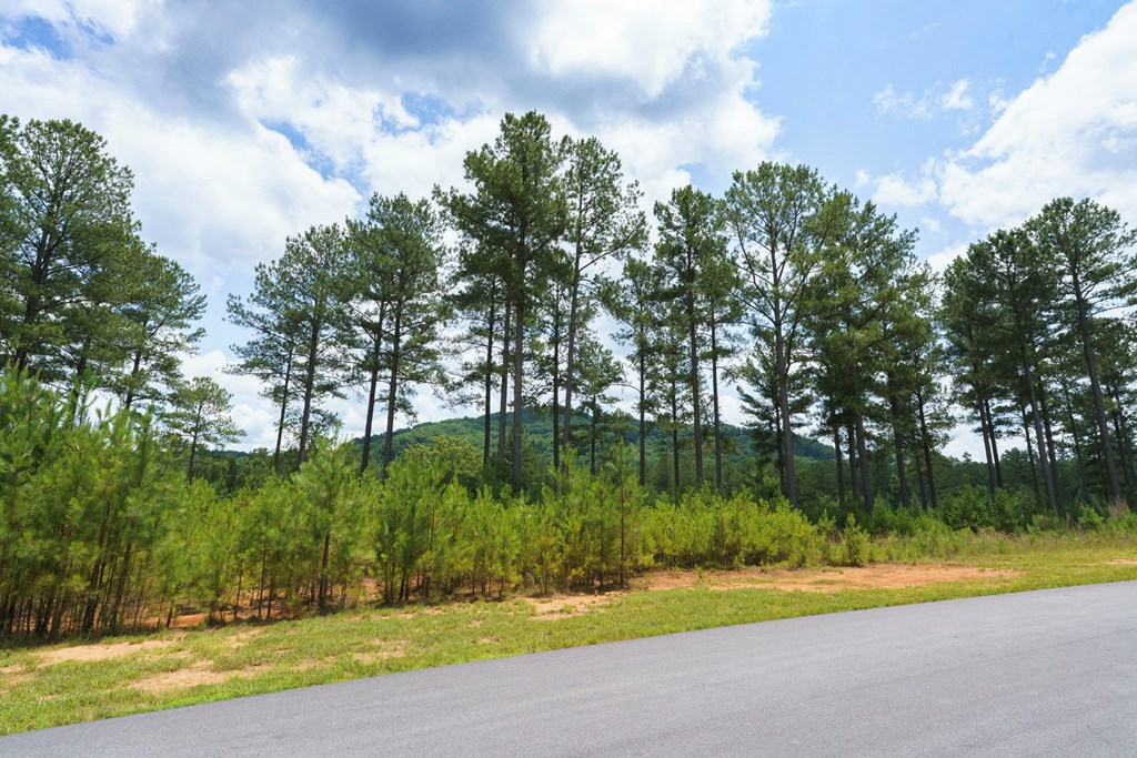 Lot 343 Loop Lane Property Photo 3