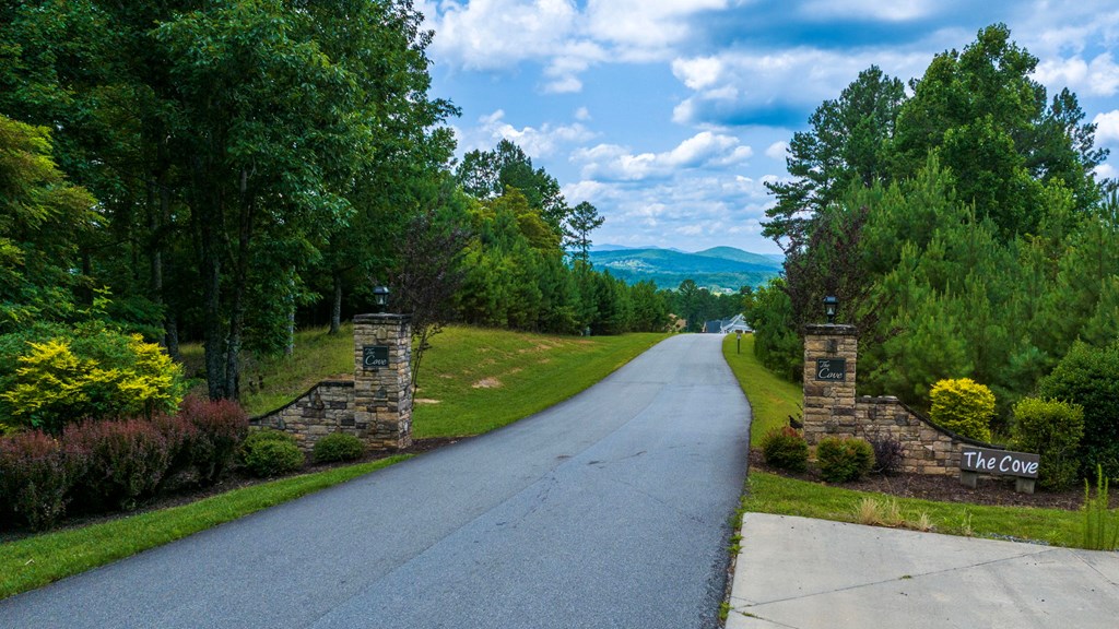 Lot 343 Loop Lane Property Photo 6