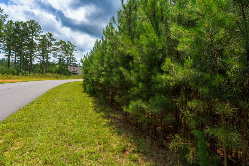 Lot 343 Loop Lane Property Photo 7