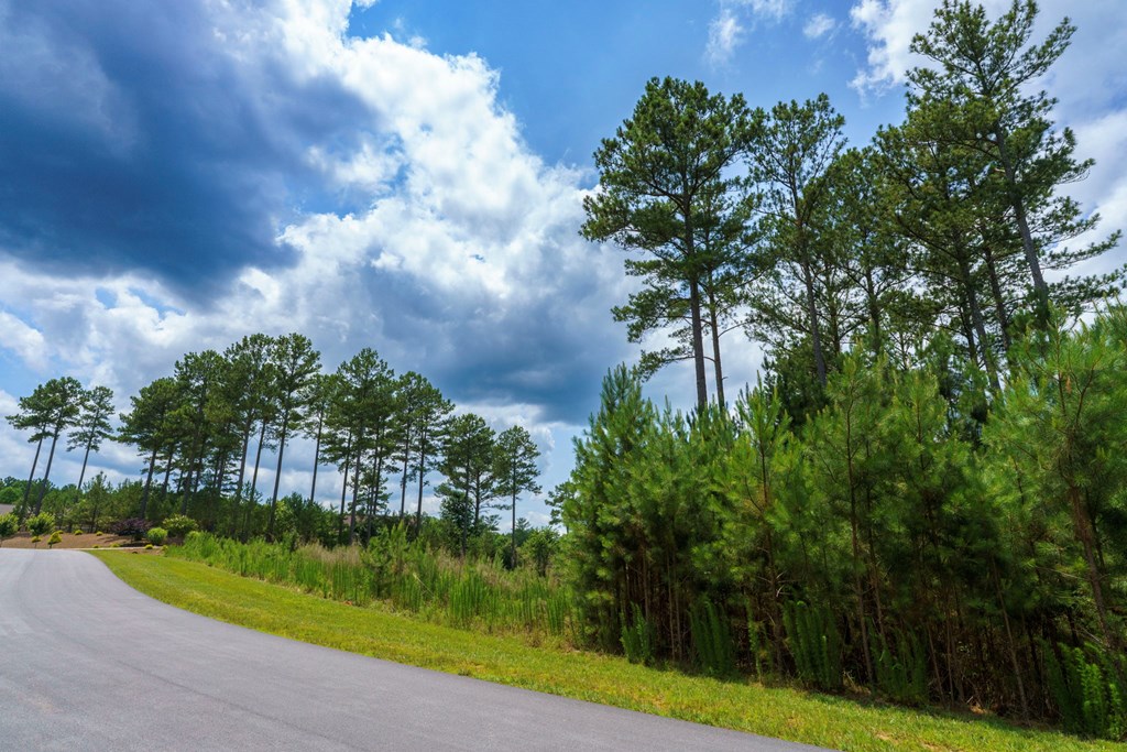 Lot 343 Loop Lane Property Photo 8