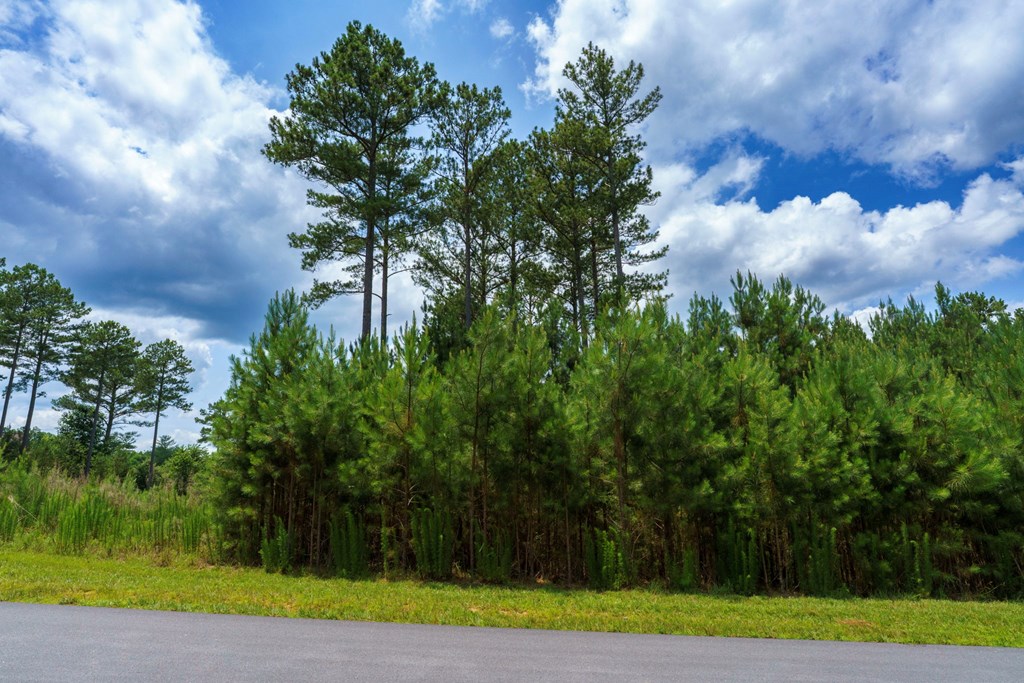 Lot 343 Loop Lane Property Photo 9