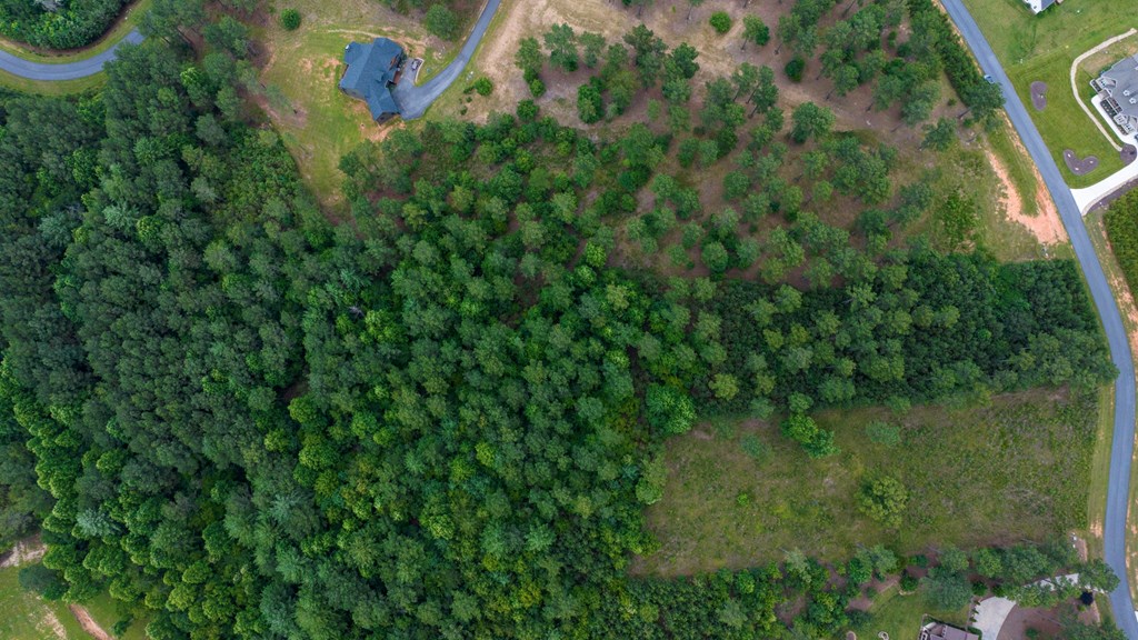 Lot 343 Loop Lane Property Photo 11