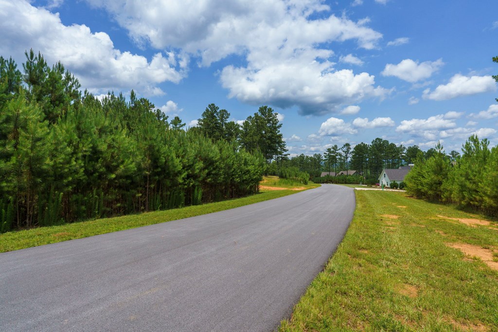 Lot 343 Loop Lane Property Photo 14