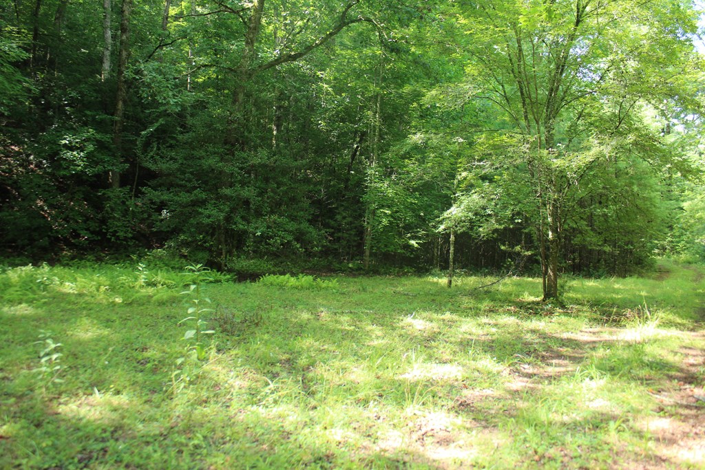 Lots 5 Property Photo 3