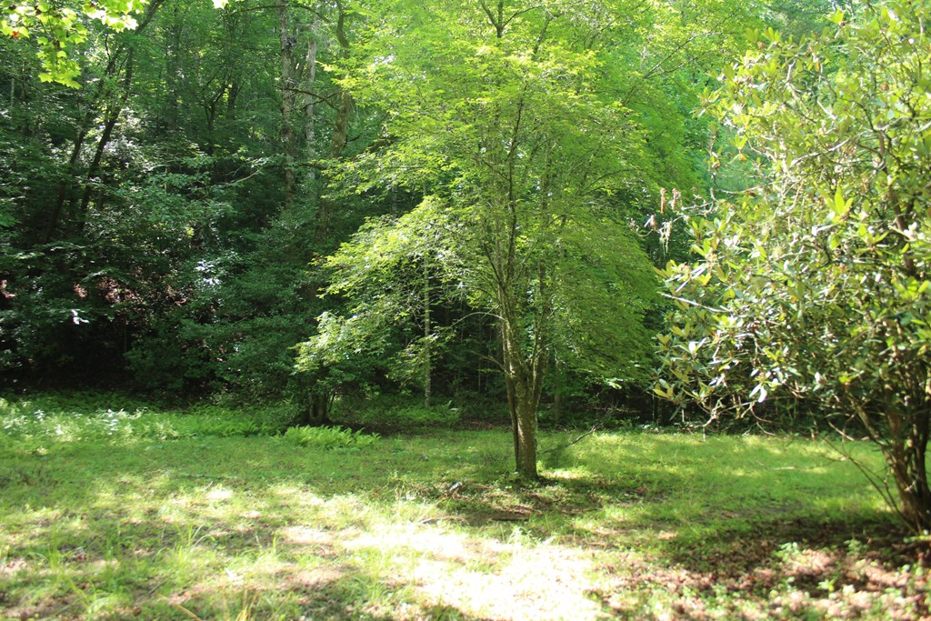 Lots 5 Property Photo 4