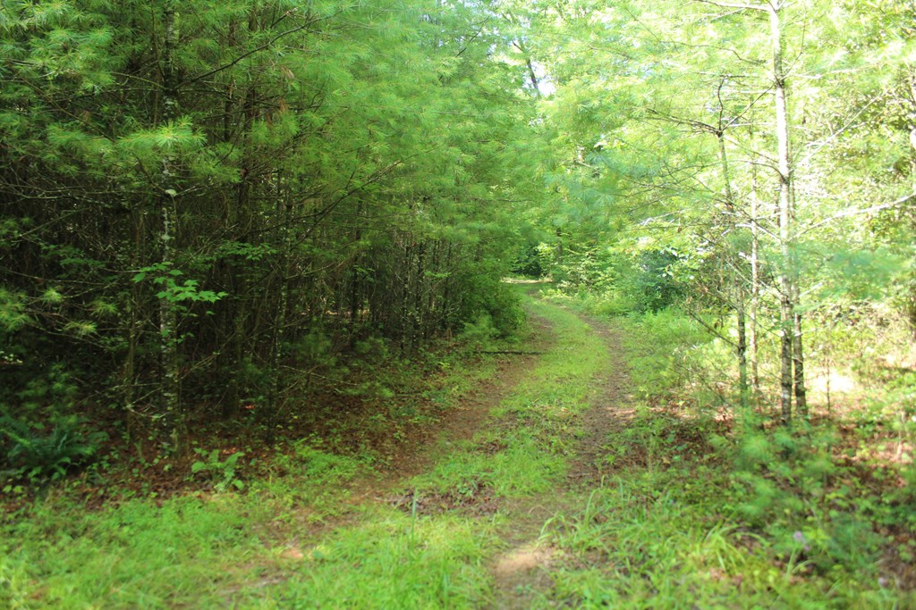 Lots 5 Property Photo 6