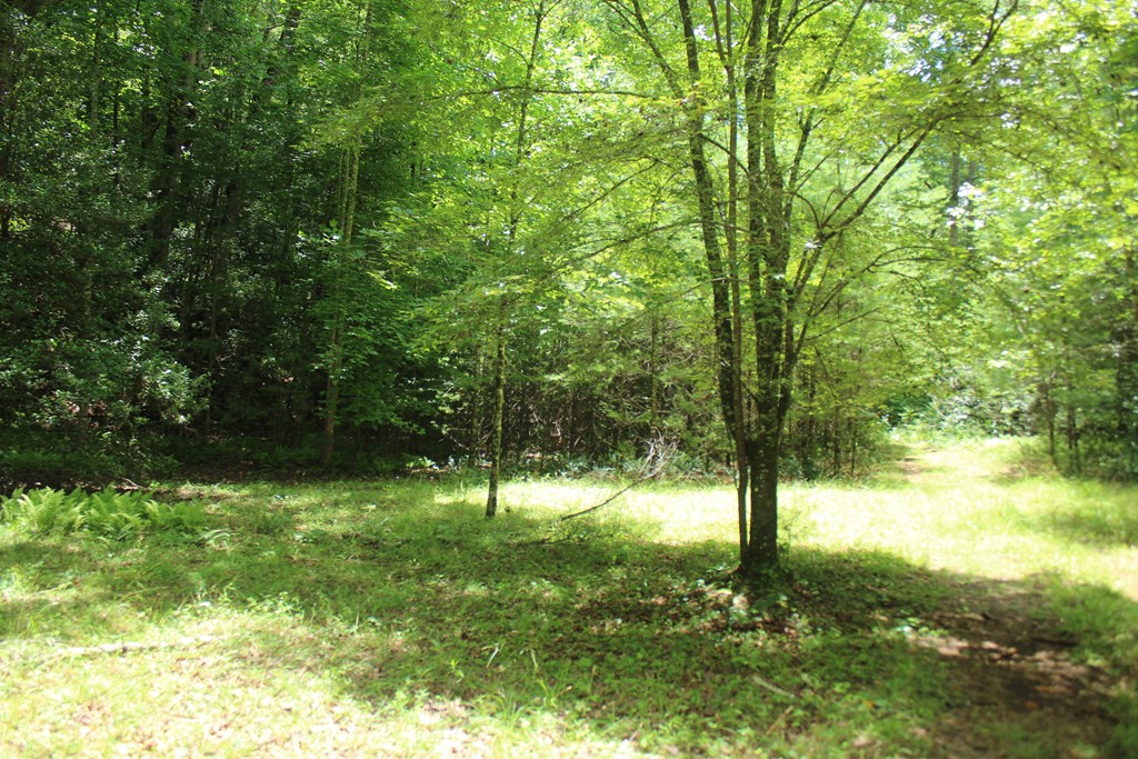 Lots 5 Property Photo 7