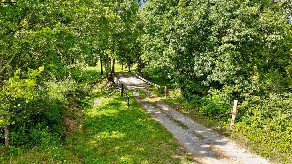 0 Tom Terry Road Property Photo 6