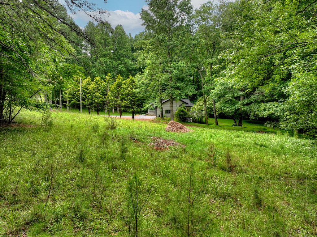 232 Chestnut Gap Property Photo 17