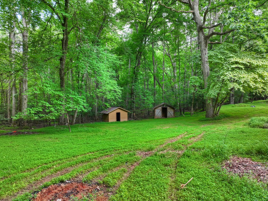 232 Chestnut Gap Property Photo 19
