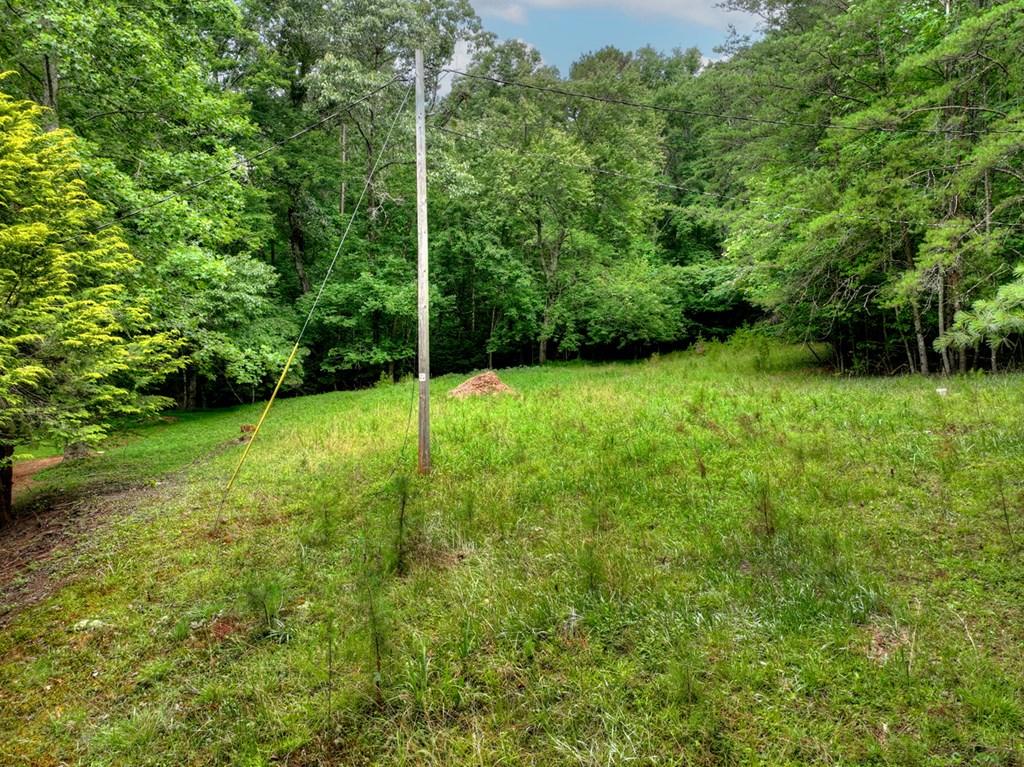 232 Chestnut Gap Property Photo 40