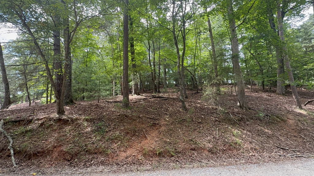 Lot 679 Cypress Circle Property Photo 2