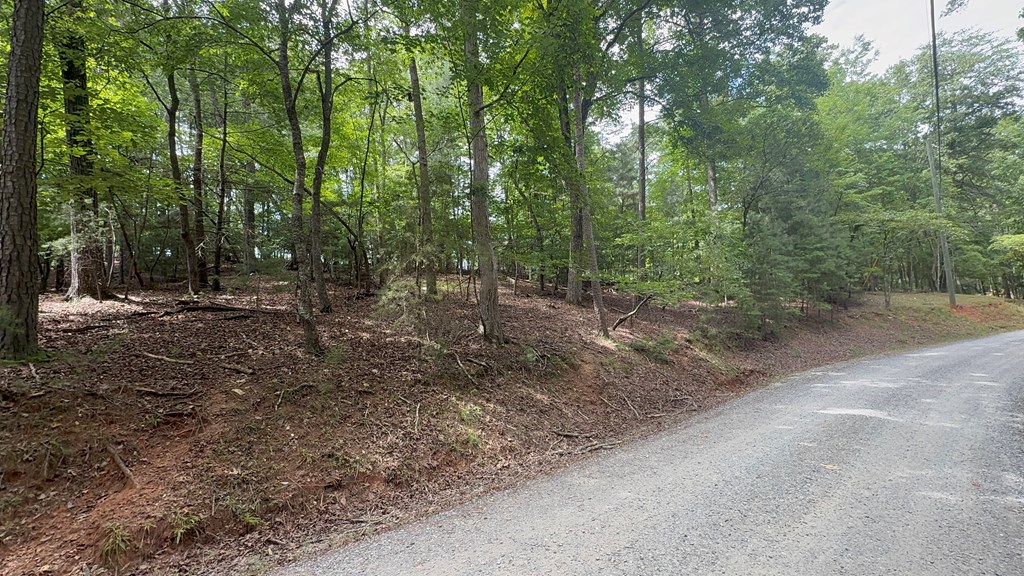 Lot 679 Cypress Circle Property Photo 3