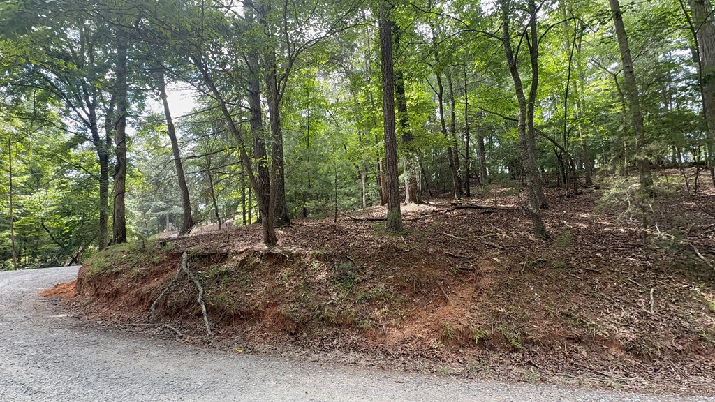 Lot 679 Cypress Circle Property Photo 4