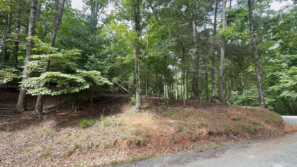 Lot 679 Cypress Circle Property Photo 5