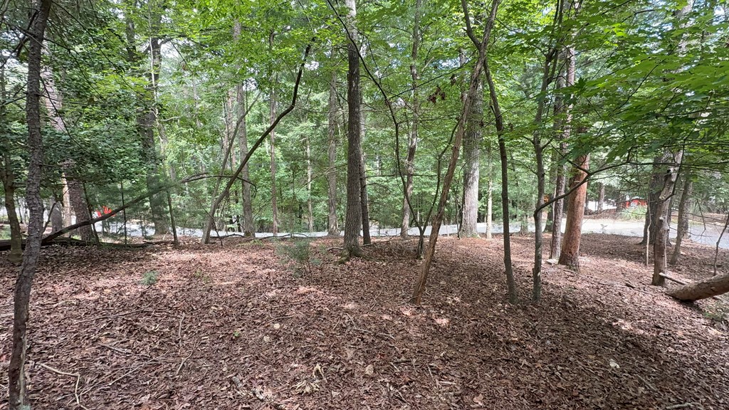 Lot 679 Cypress Circle Property Photo 6