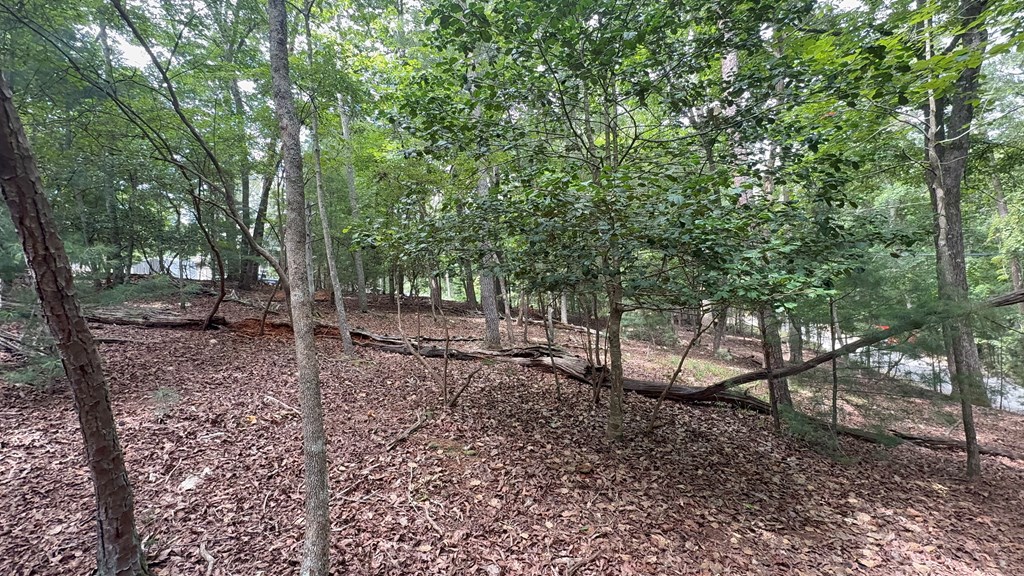 Lot 679 Cypress Circle Property Photo 7
