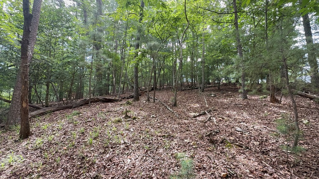Lot 679 Cypress Circle Property Photo 8