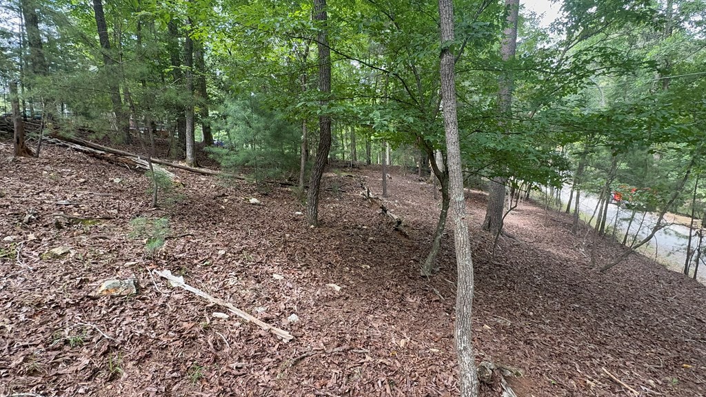 Lot 679 Cypress Circle Property Photo 9