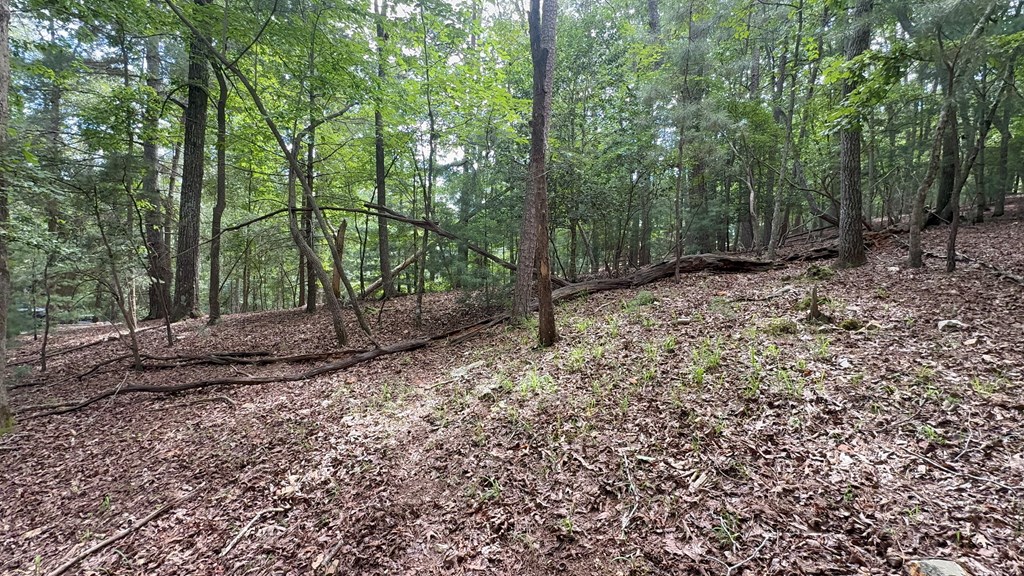 Lot 679 Cypress Circle Property Photo 10