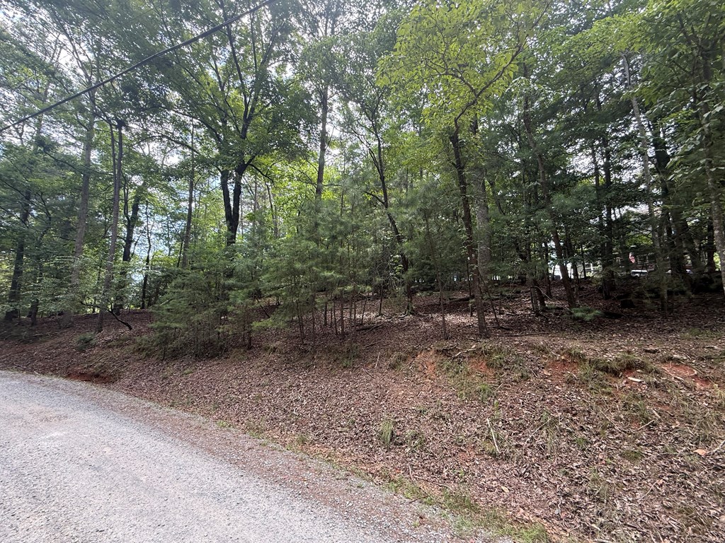 Lot 679 Cypress Circle Property Photo 11