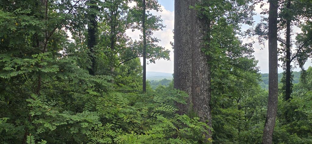 001 Winding Ridge Property Photo 1