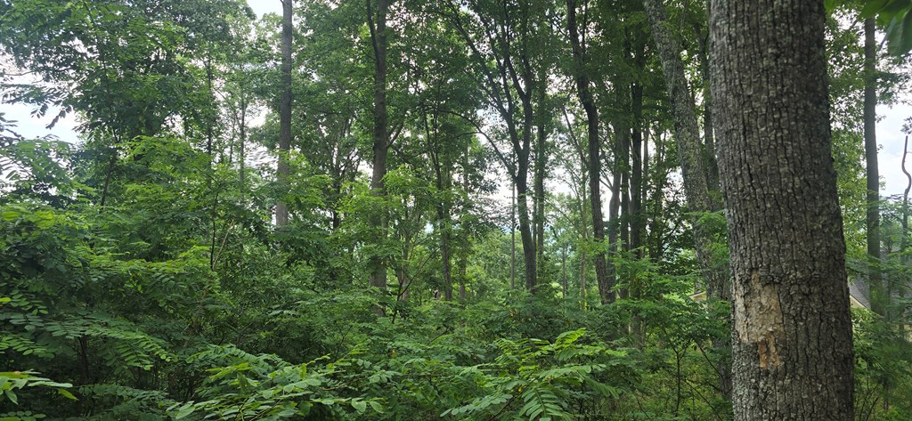 001 Winding Ridge Property Photo 2