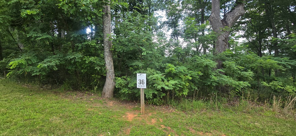 001 Winding Ridge Property Photo 3