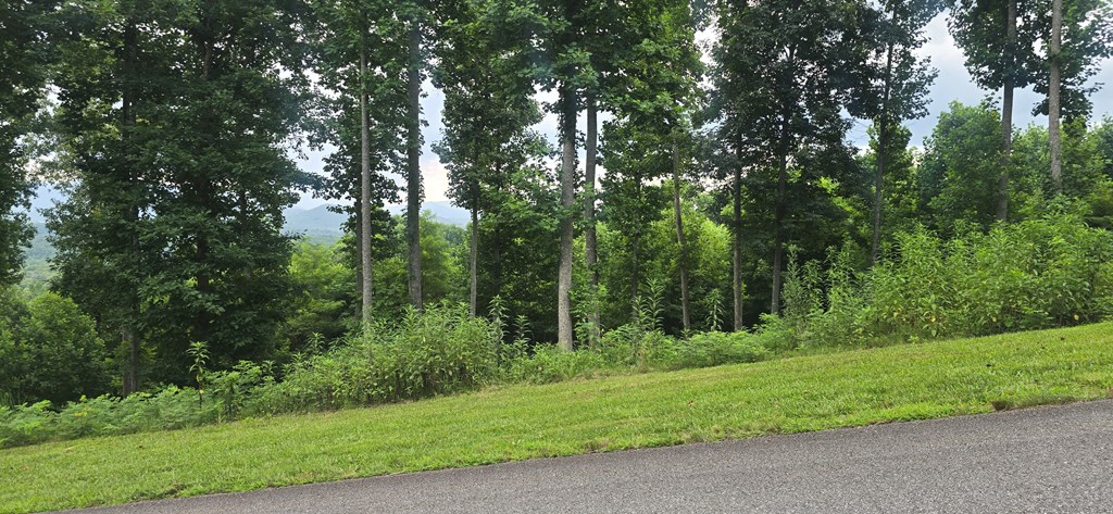 001 Winding Ridge Property Photo 8