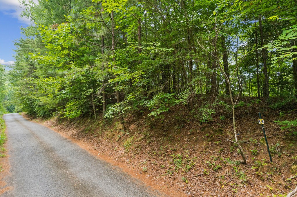 Lot 5 Riverfront Drive Property Photo 7