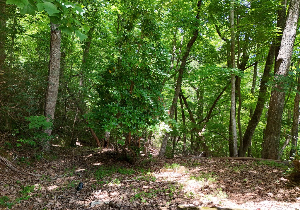 714 Mountain View Road Property Photo 71
