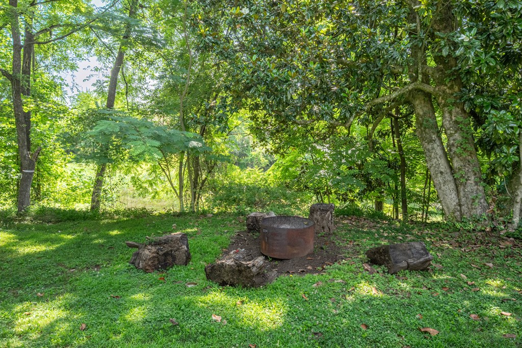 1737 Blue Ridge Drive Property Photo 17