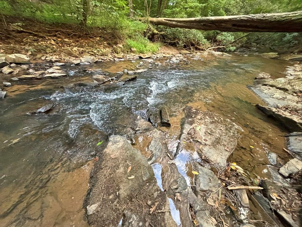 396 Mt. Springer Road Property Photo 1