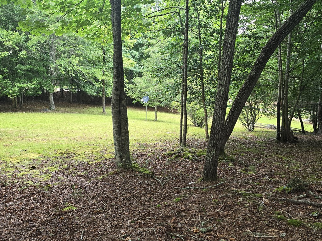 64 Green Oak Road Property Photo 26