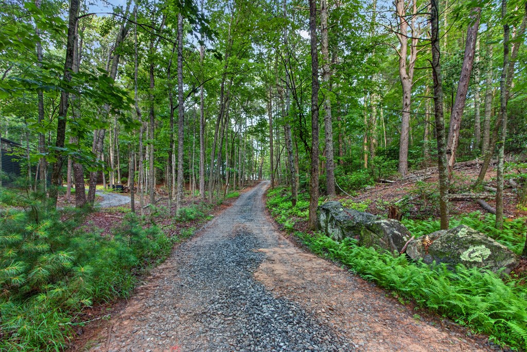 Lot 3c Stanley Creek Road Property Photo 45