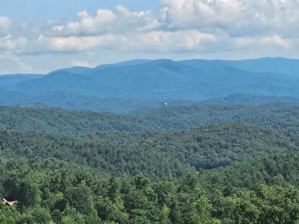 31 Acres Upper Bear Paw Road Property Photo 1