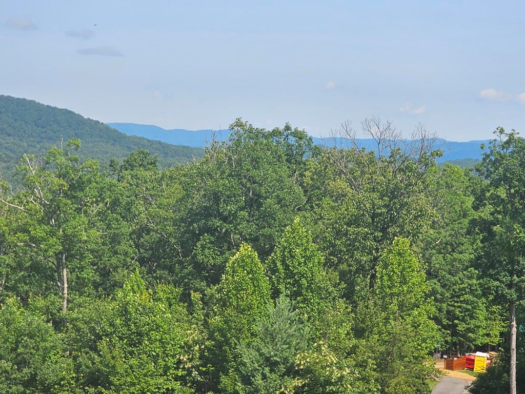 31 Acres Upper Bear Paw Road Property Photo 6